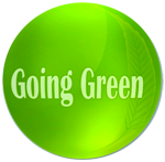 go green eco taxi